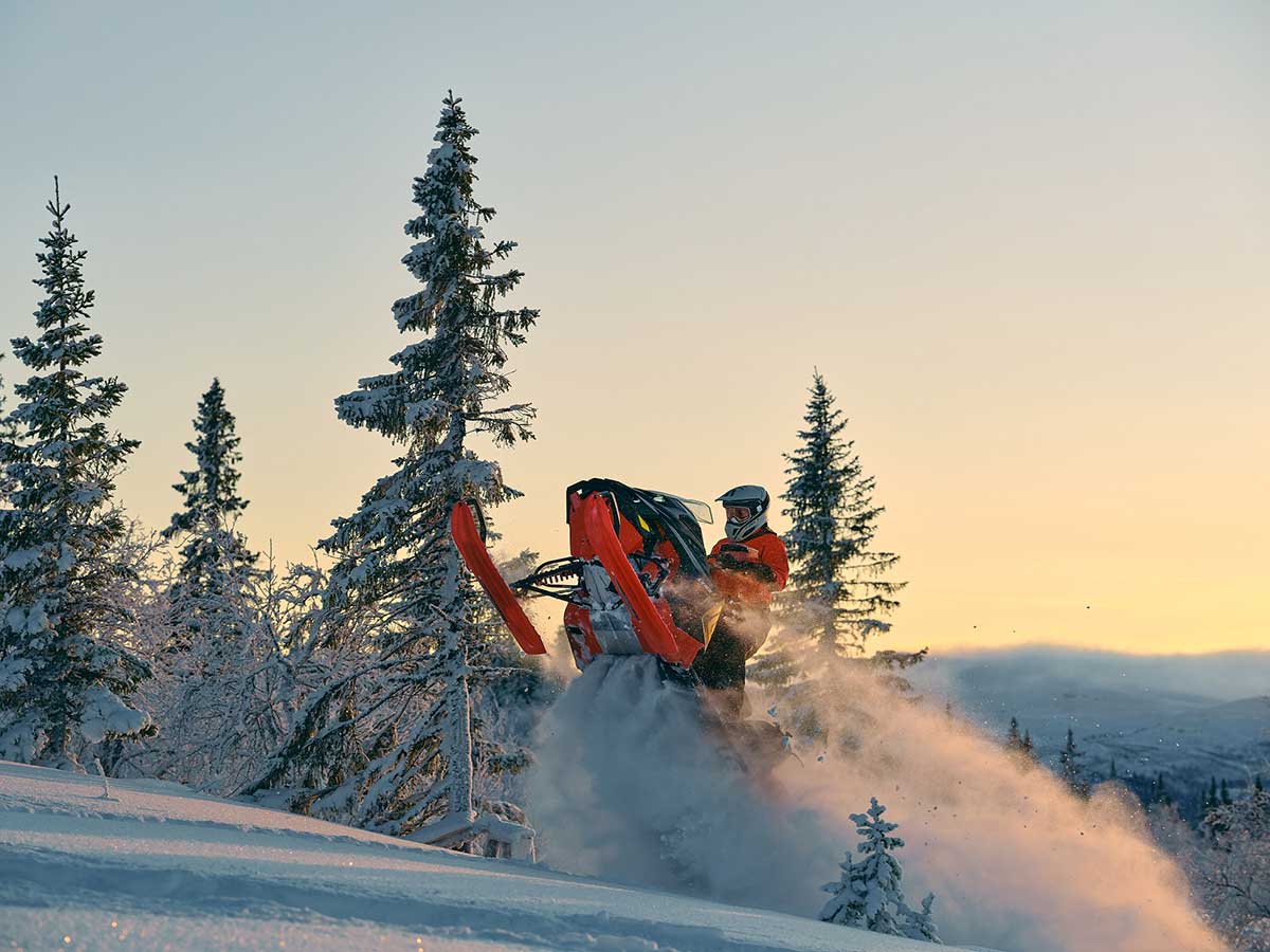 LYNX MY26 BRUT RE16 ACT 00579 (2)