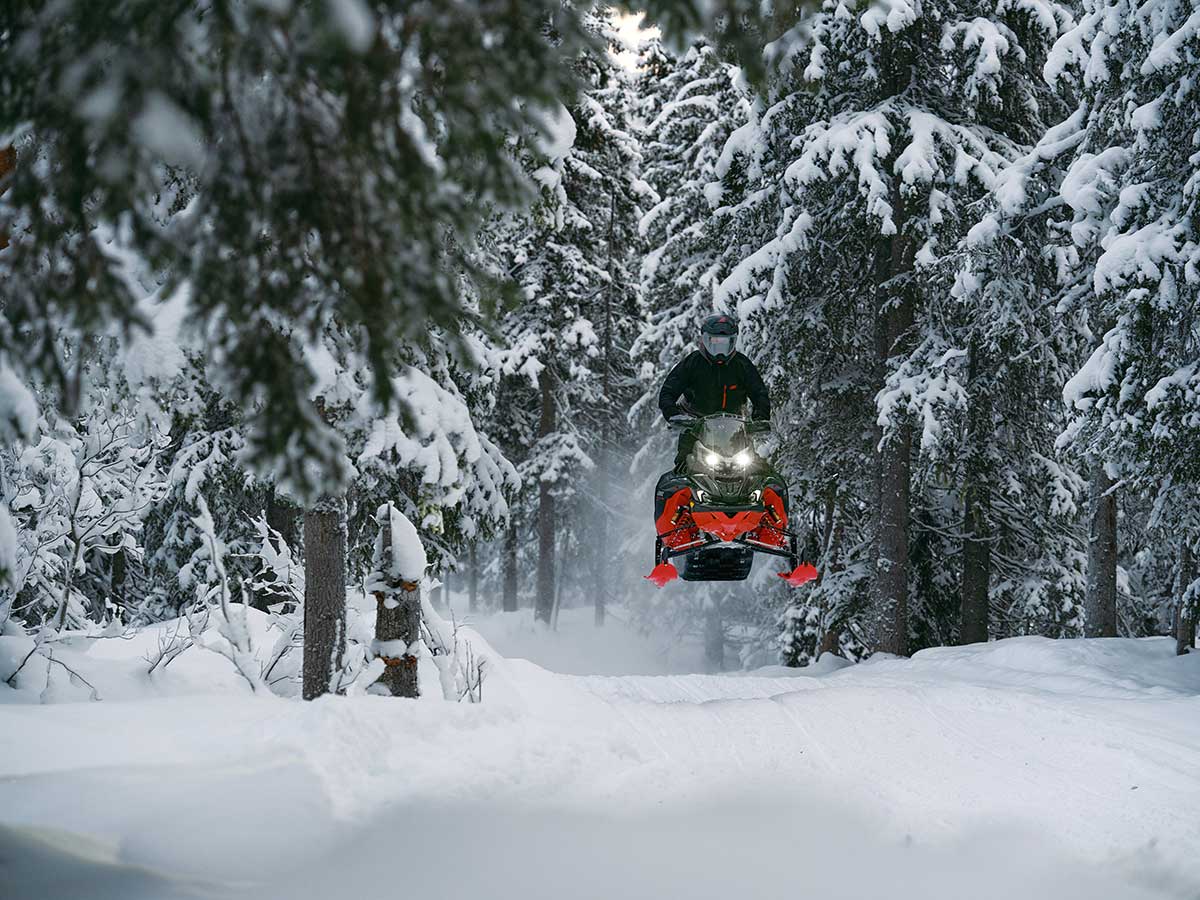 LYNX MY26 BRUT RE20 ACT 00586 (1)