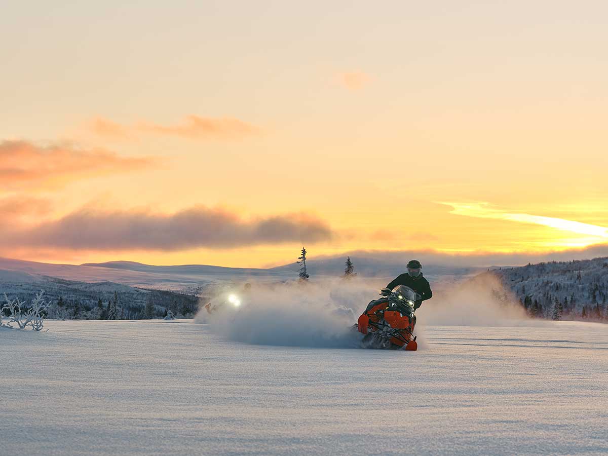 LYNX MY26 BRUT RE20 ACT 00595 (2)