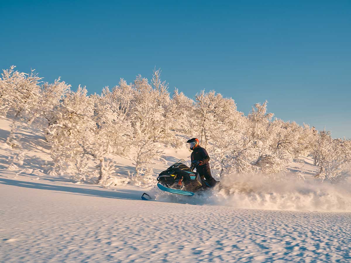 LYNX MY26 COM RE ACT 00523