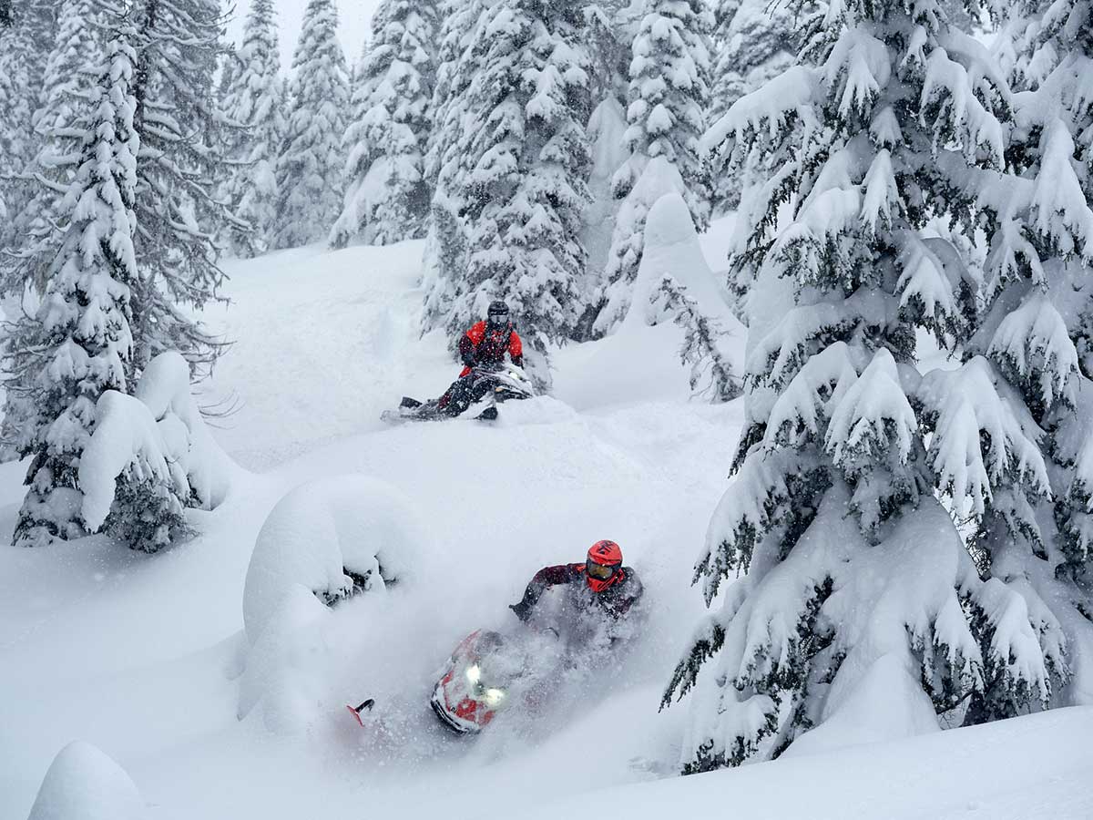 LYNX MY26 SHRED FAM 00158